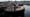 Tugboat Races, Vineyard Robots, Teacup Lake Photo Essay
