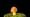 Plants Use An Internet Made of Fungus