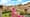 Assisi and Italian Country Charm