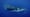 Humpback Whales