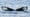 Mystery of the Humpback Whale Song