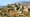 Greece's Peloponnese