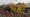 Argentina: Ancient Patagonia People