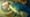 Super Grouper