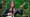 Rhiannon Giddens | Bill Murray: The Mark Twain Prize