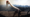 When Pterosaurs Walked