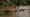 Peru – the Amazon and Beyond