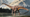 A Short Tale About Diplodocus' Long Neck