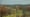 Greener Pastures