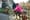Sept. 28, 2021 -  King County may repeal bike helmet law
