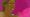 Pam Cromwell