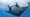 Majestic Mantas