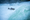 The Lost Salmon