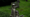 World's Greatest Cemeteries