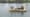 Two Men in a Boat