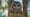 Oregon's Timber Wars Special