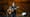 Mac McAnally