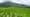 Grassy Balds, The Heart of Rone
