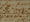 Expedition Journals