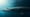 Discovering the Secrets of a Jurassic Sea Monster