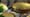 Savory Pizza Rustica with Nick Malgieri