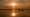 Brazil’s Pantanal: Wetlands and Wildlife