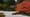 Japanese Garden Photo Essay