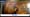 Roast of Wild Boar/Cochon de Lait Festival