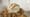 Caramel Apple Crisp – Farm to Fork with Sharon Profis
