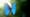 How the Morpho Butterfly Gets its Iridescent Color