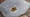 Sea Cucumbers Have Multipurpose Butts