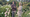 Hay Day Farm: From Field to Fork with Chef Tad