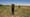 The Yampa River - Enough Water to go Around?