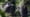 Mike Houck and the Great Blue Heron, Garden Railroads, Trail Magic