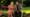 What is Moonflower Murders?