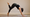 High Country Yoga