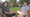 The Mattasher Show