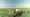 The Green Desert
