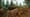 Forest Thinning; Oregon Cave Cleaning; Portland Stairways