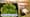 Ashland-Belle Helene Plantation