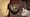 Black Caesar: The Pirate with a Thousand Faces
