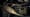 Which Giant Animal Was the Apex Predator?
