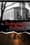 The Underground Railroad: The Paths & Places of Refuge