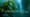 Kelp: Hidden Treasure of the Salish Sea