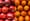 Under the Dome: The Apples and Oranges Legislature