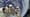 Down to Earth: The Astronaut's Perspective