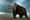 Cloning a new Woodland Park Zoo elephant?