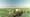 The Green Desert