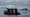 Preview of Expedition Killer Whale