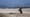 Peru’s Desert Penguins | Trailer